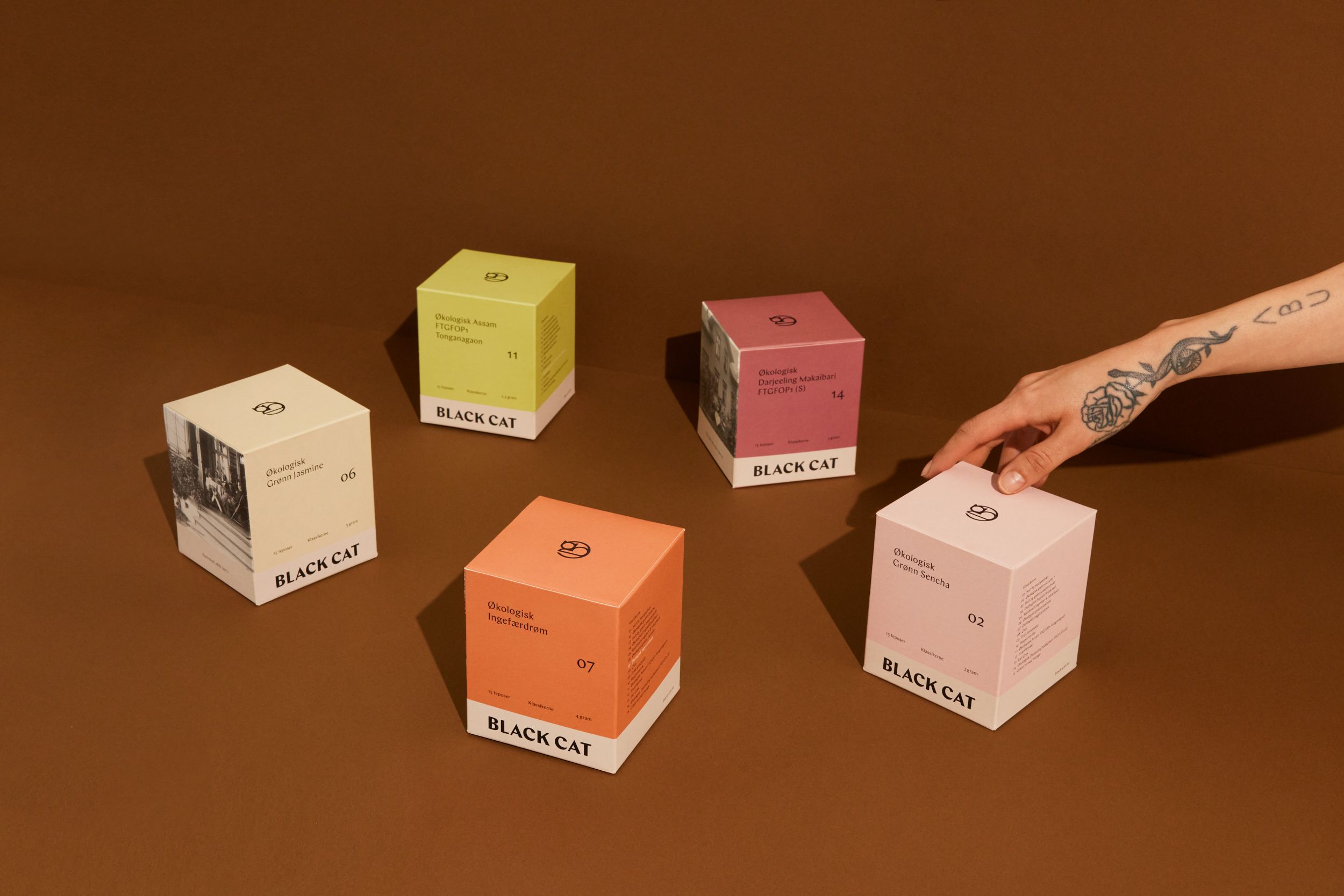 Black cat teesker på brun bakgrunn